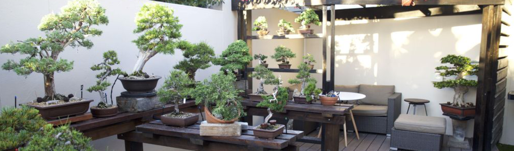 Orenda Bonsai Studio